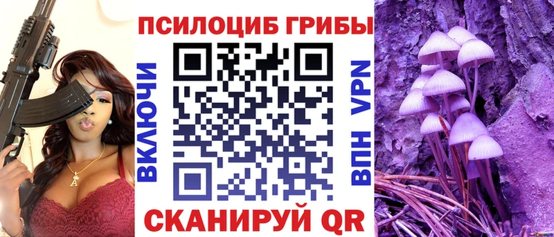 Купить закладки  Яровое  Псилоцибиновые грибы MAGIC MUSHROOMS 